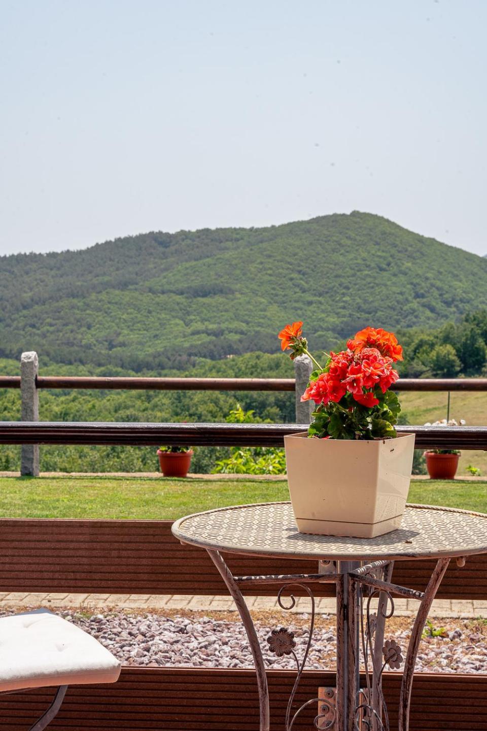 916 Mountain Ξάνθη